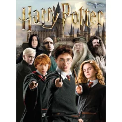 Aquarius Harry Potter Trio Jigsaw Puzzle -Toy Store 473580 3 52310.1693448790