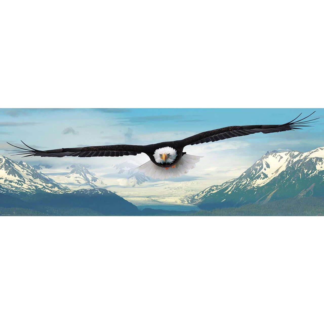 Eurographics Eagle Panoramic Jigsaw Puzzle 1 Eurographics Eagle Panoramic Jigsaw Puzzle