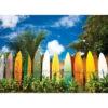 Eurographics Surfer's Paradise, Hawaii, USA Jigsaw Puzzle