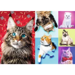 Trefl Happy Cats Jigsaw Puzzle