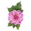 Madd Capp I Am Dahlia Jigsaw Puzzle