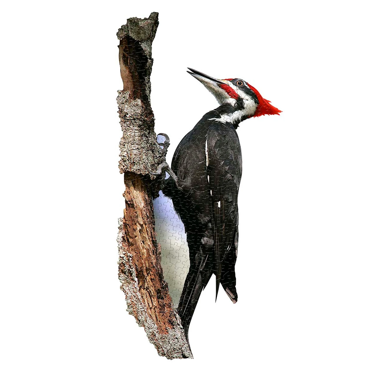 Madd Capp I Am Woodpecker Jigsaw Puzzle 1 Madd Capp I Am Woodpecker Jigsaw Puzzle