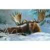 SunsOut Winter Blanket Jigsaw Puzzle