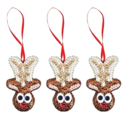 Sunrise Craft & Hobby Santa's Reindeer Ornament Kit