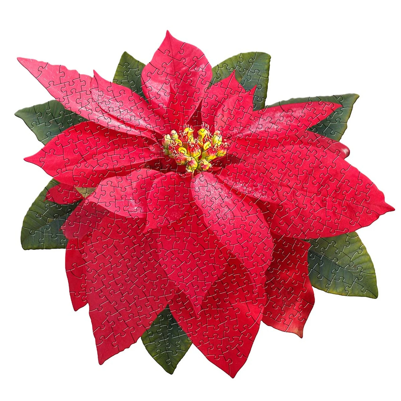 Madd Capp I Am Poinsettia Jigsaw Puzzle 1 Madd Capp I Am Poinsettia Jigsaw Puzzle